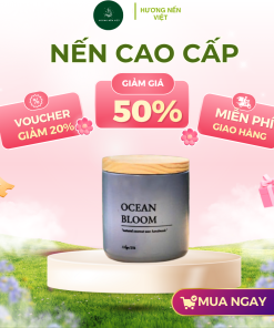 nen cao cap