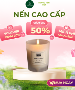 nen cao cap